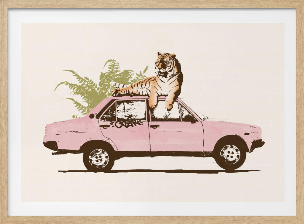 Tiger On Car | Poster