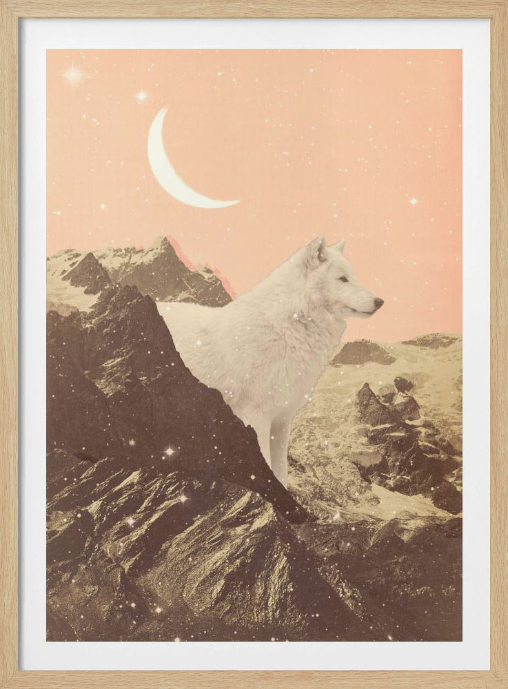 Giant White Wolf In Mountains | Poster