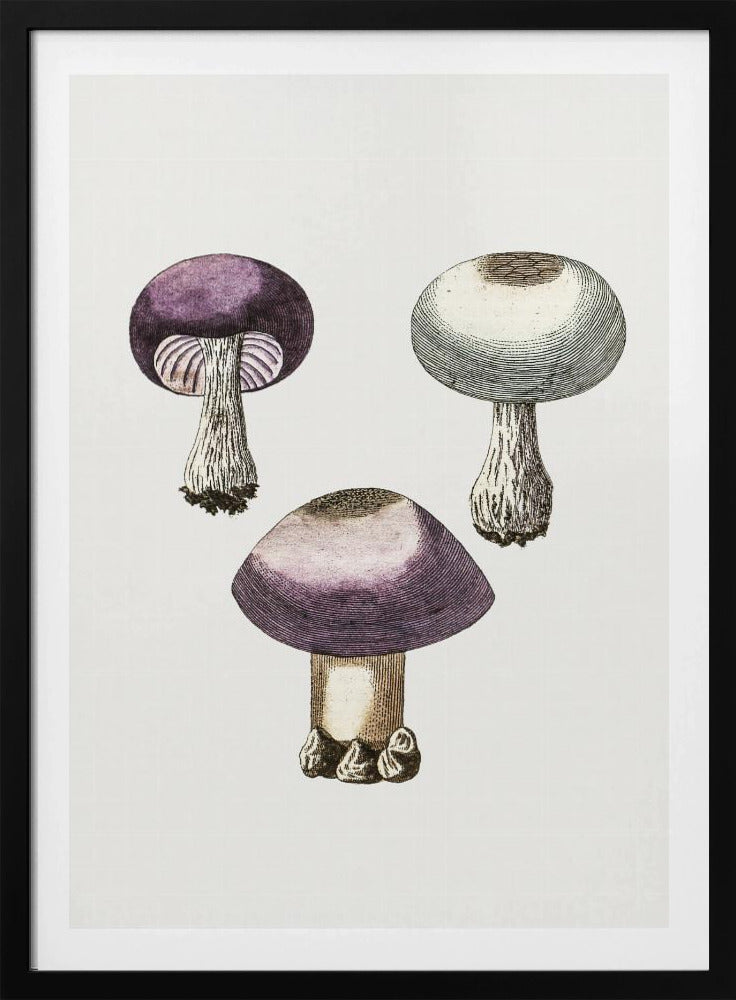 Hand Darwn Violet Webcap Mushroom | Poster