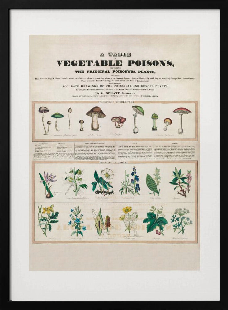 Poisonous Mushrooms Irritating Poisons | Poster