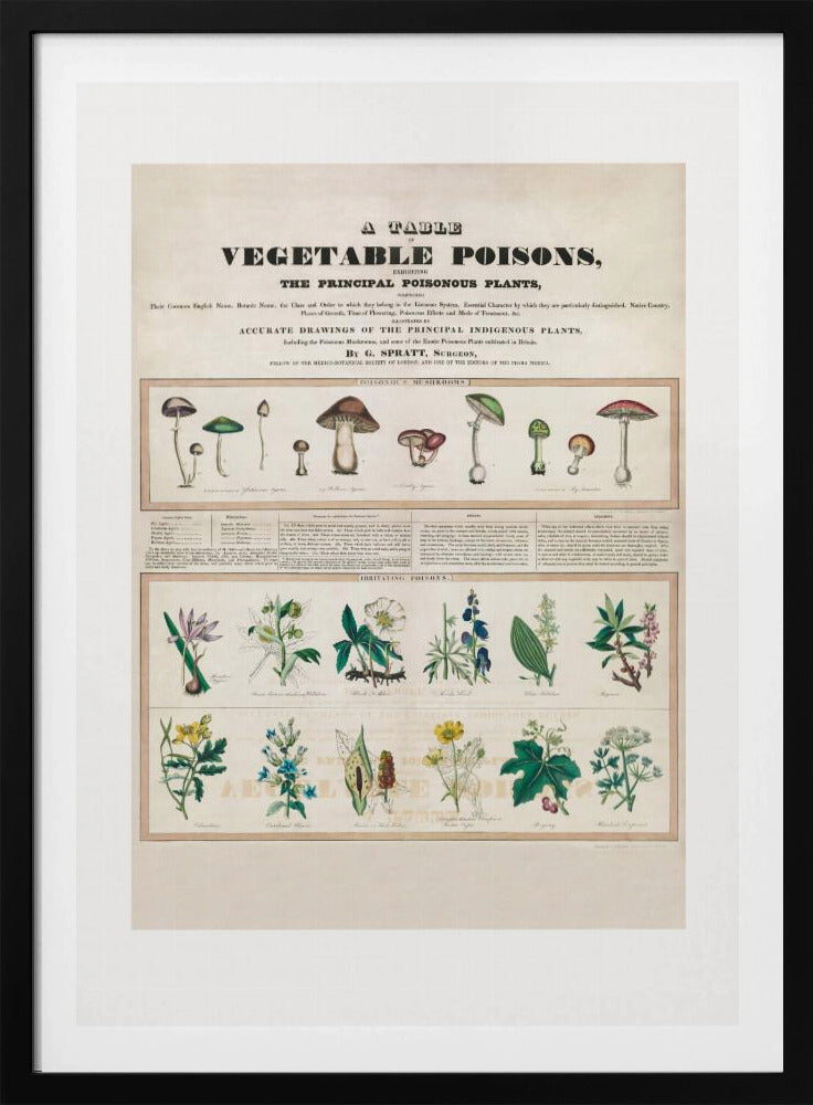 Poisonous Mushrooms Irritating Poisons | Poster