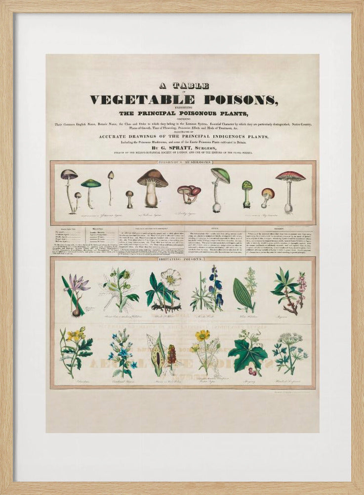 Poisonous Mushrooms Irritating Poisons | Poster