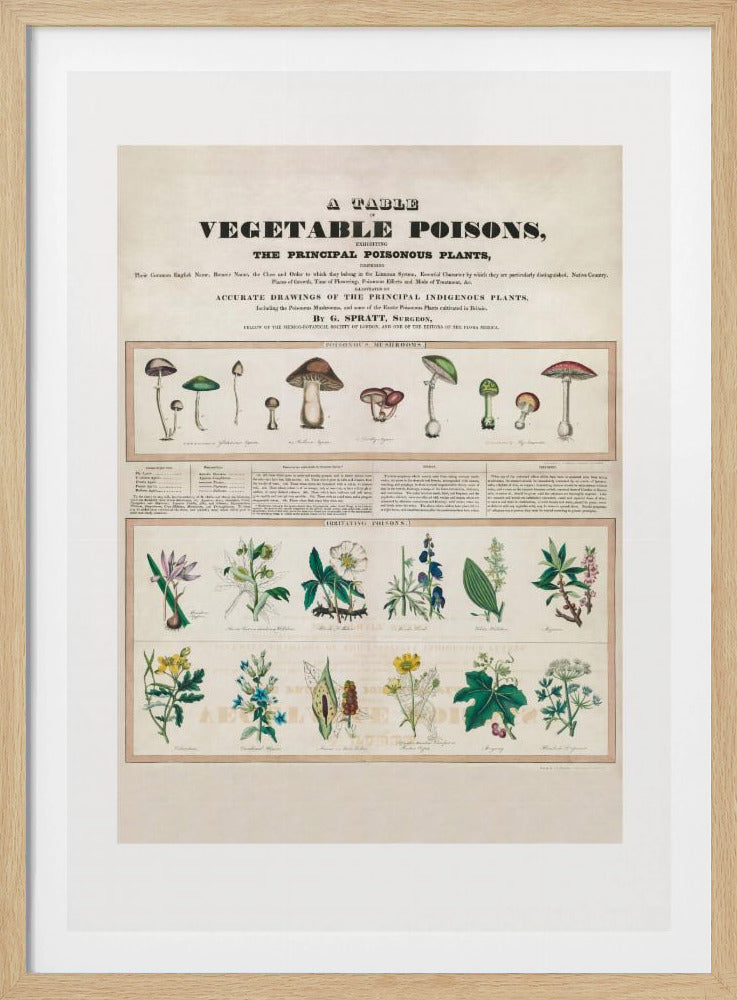 Poisonous Mushrooms Irritating Poisons | Poster