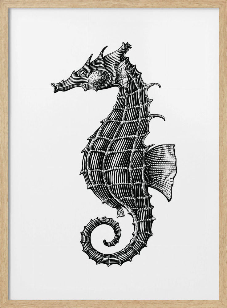 Seahorse | Poster