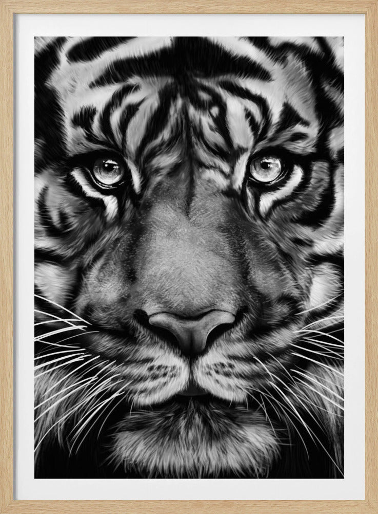 Tiger | Poster