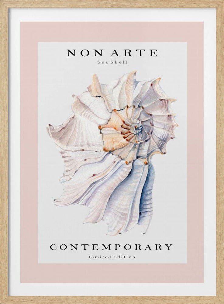 Non Arte Sea Shell no.1 | Poster