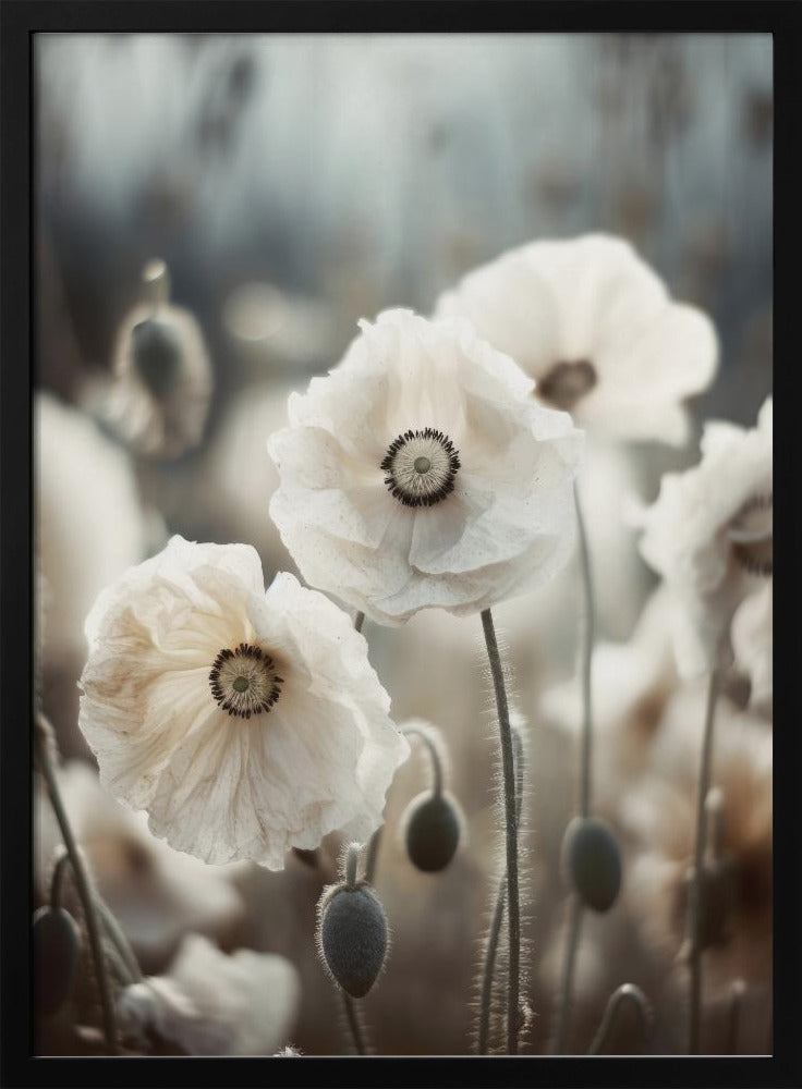 Whispers of Poppies | Poster
