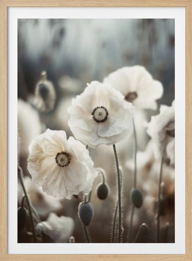 Whispers of Poppies | Poster