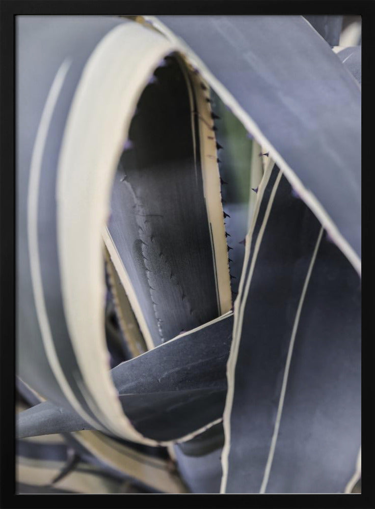 Spiral of Nature | Poster