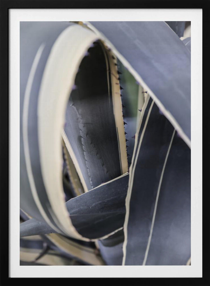 Spiral of Nature | Poster