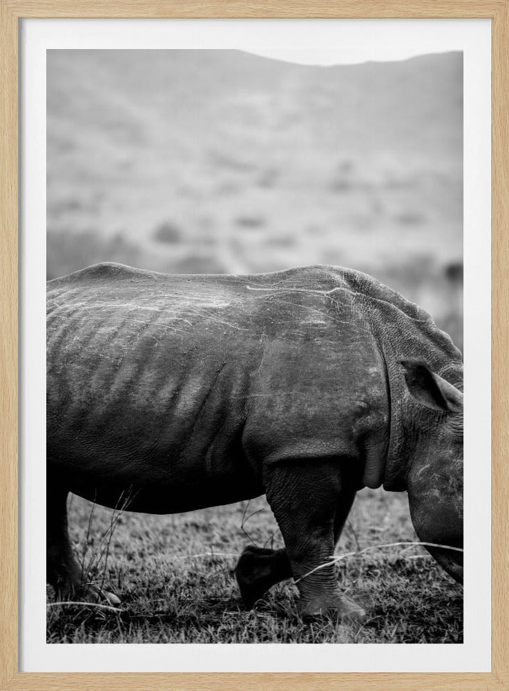 Gentle Giant Stroll | Poster