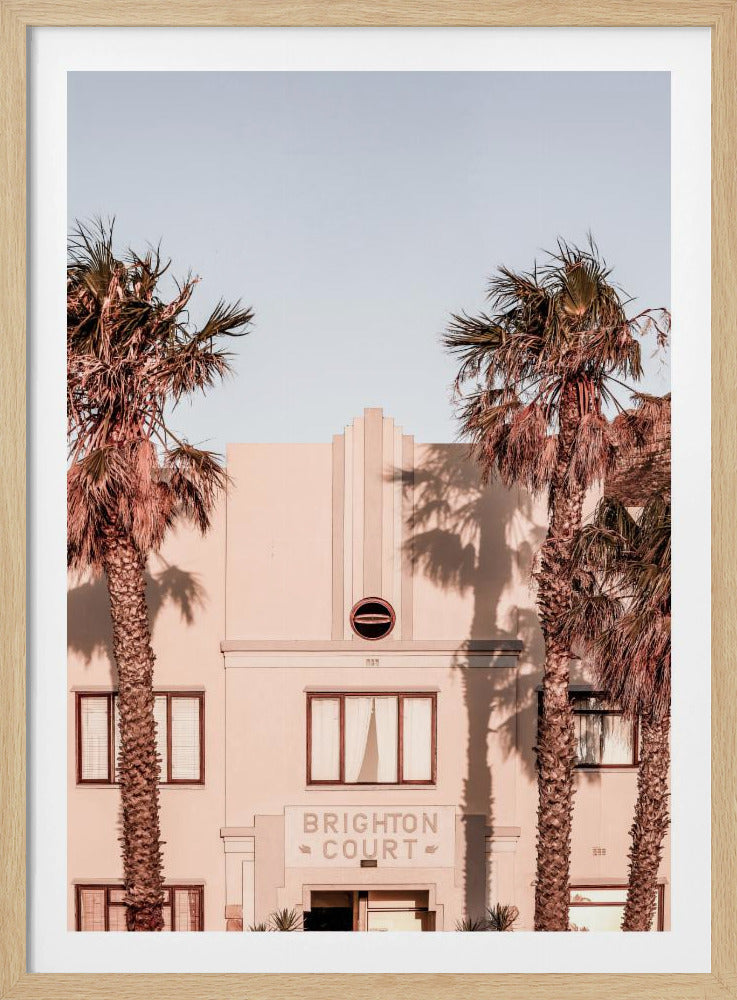 Palm Shadows | Poster