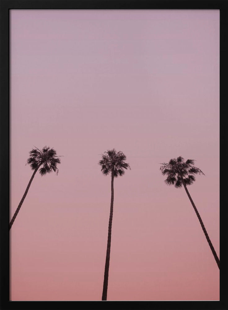 Pink Sky Trio | Poster