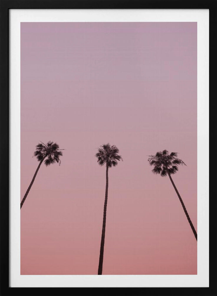 Pink Sky Trio | Poster