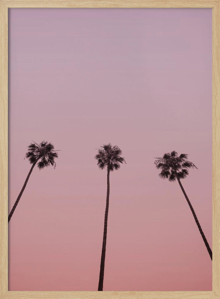 Pink Sky Trio | Poster