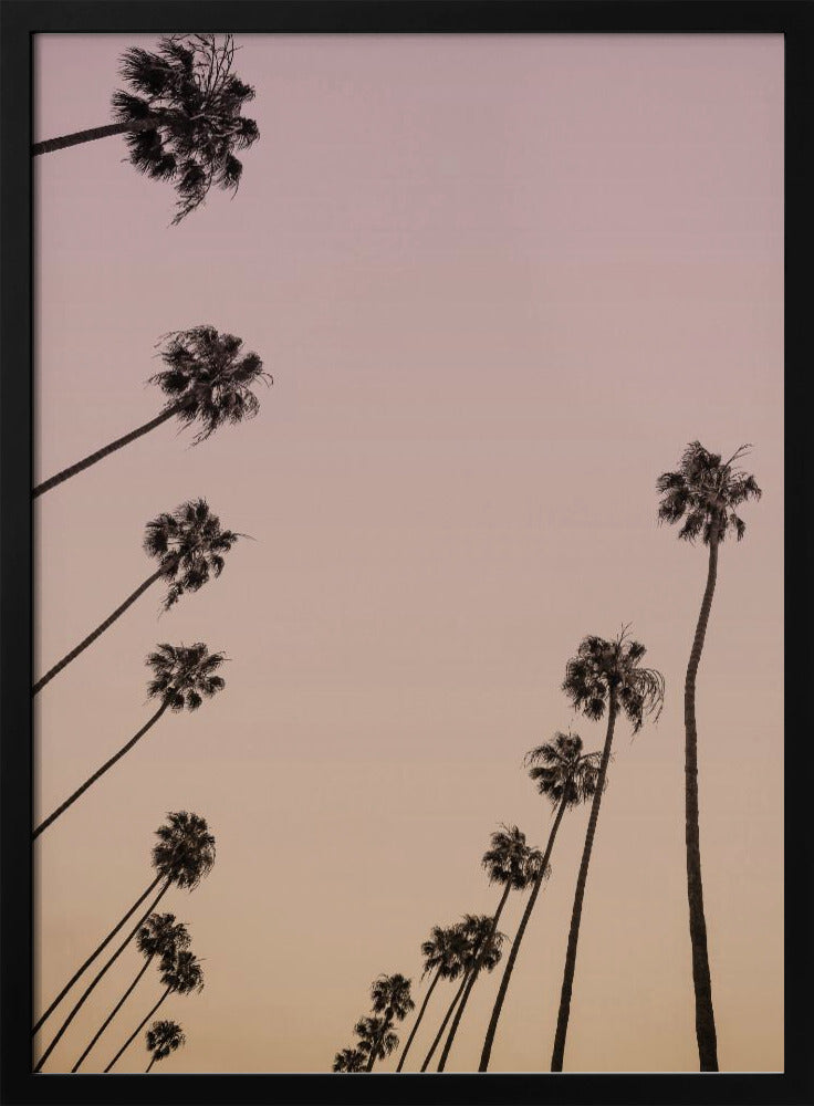 Twilight Palms | Poster
