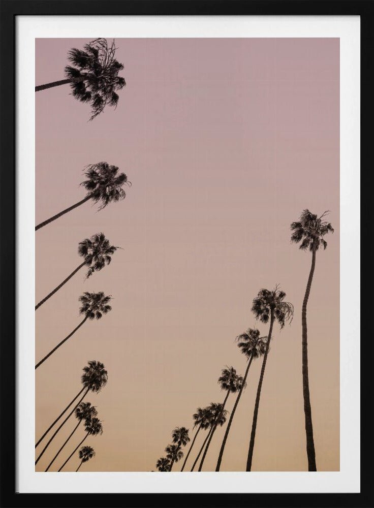 Twilight Palms | Poster