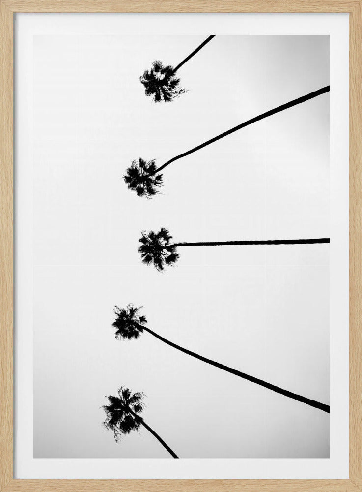 Skyward Palms | Poster