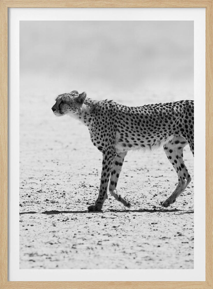 Silent Pursuit | Poster