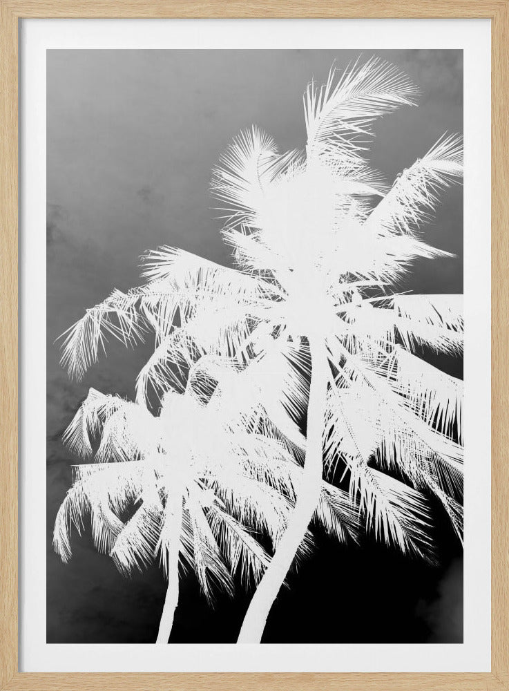 Inverted Palms | Poster