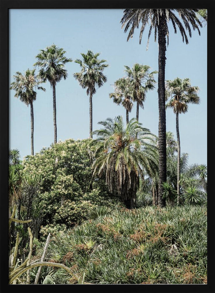 Tropical Serenity | Poster