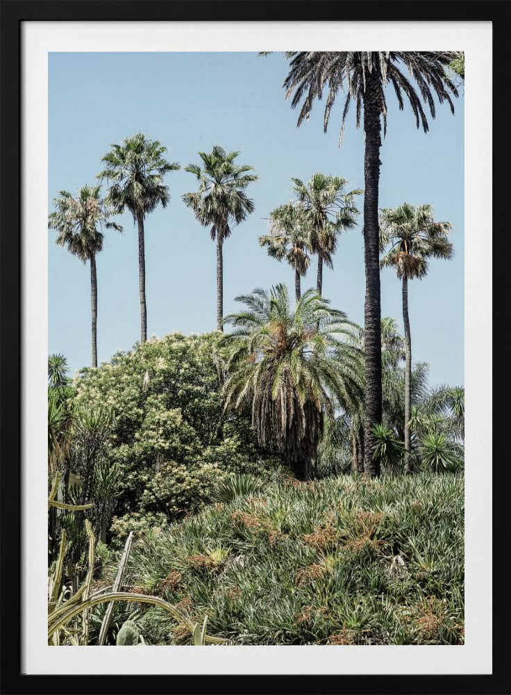 Tropical Serenity | Poster