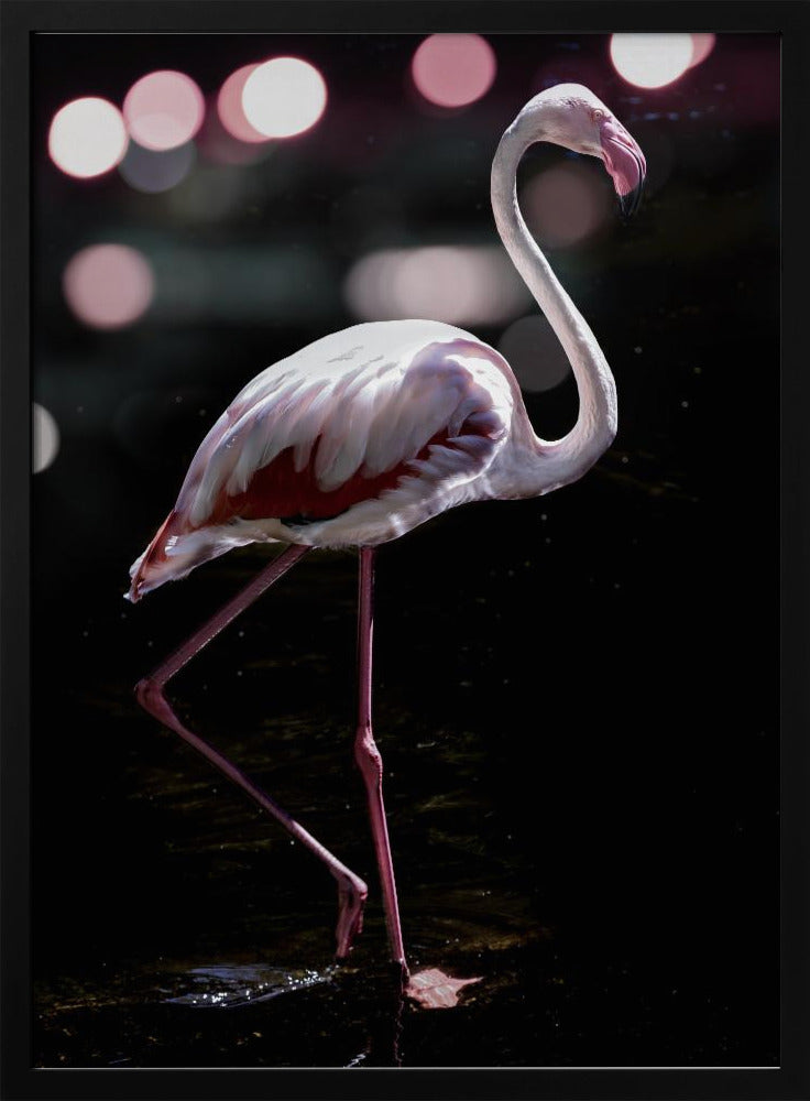 Elegant Flamingo | Poster