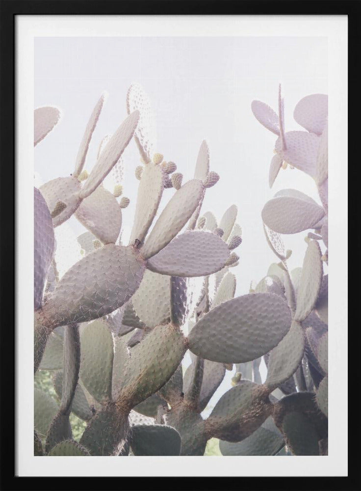 Prickly Serenity | Poster