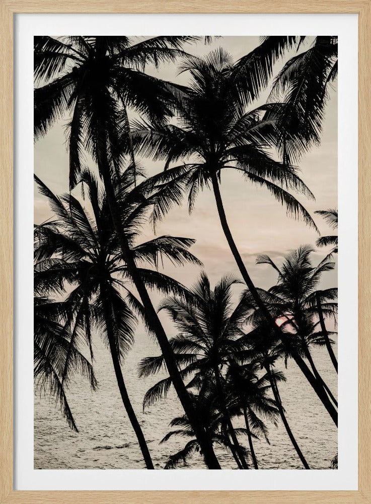 Silhouettes at Sunset | Poster