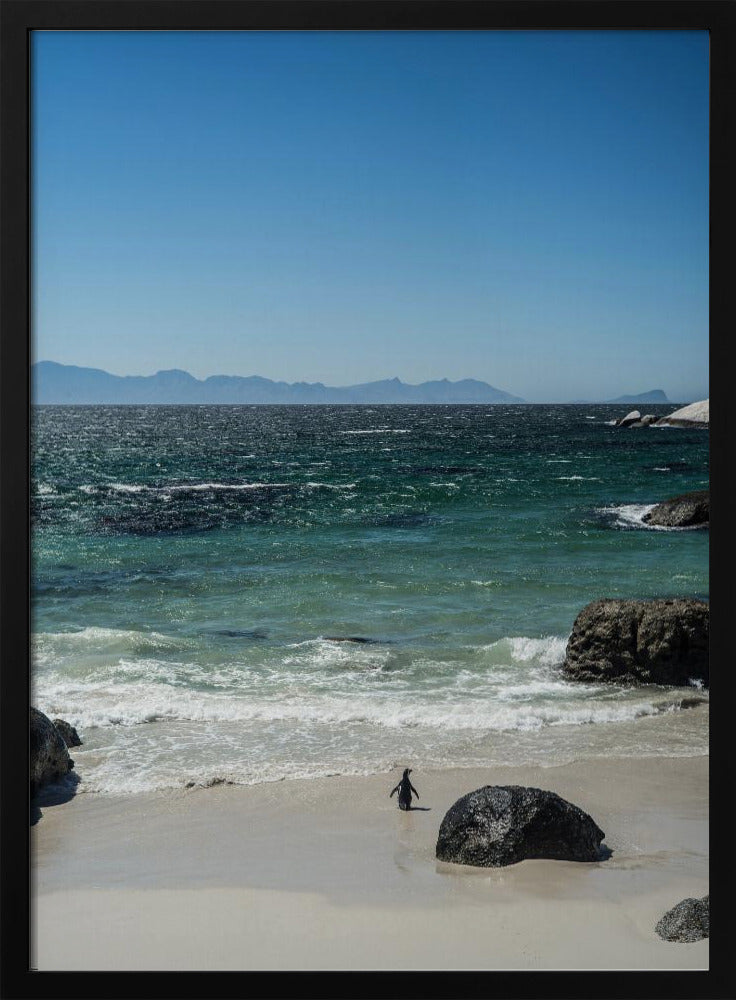 Penguin's Beach Walk | Poster