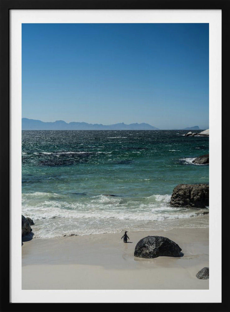 Penguin's Beach Walk | Poster