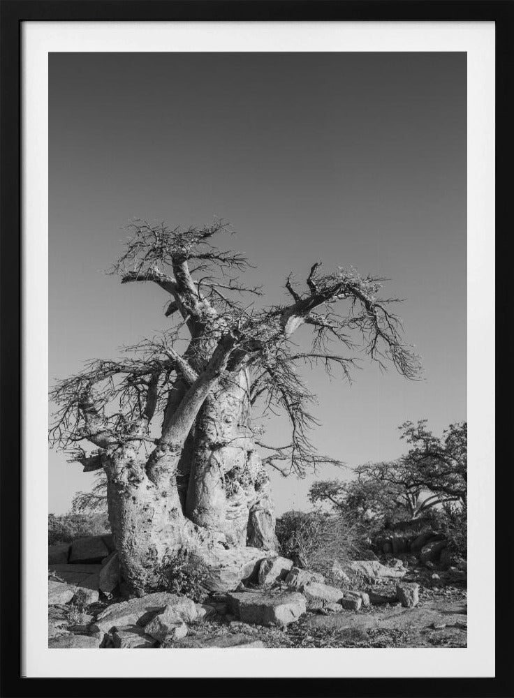 Ancient Sentinel | Poster