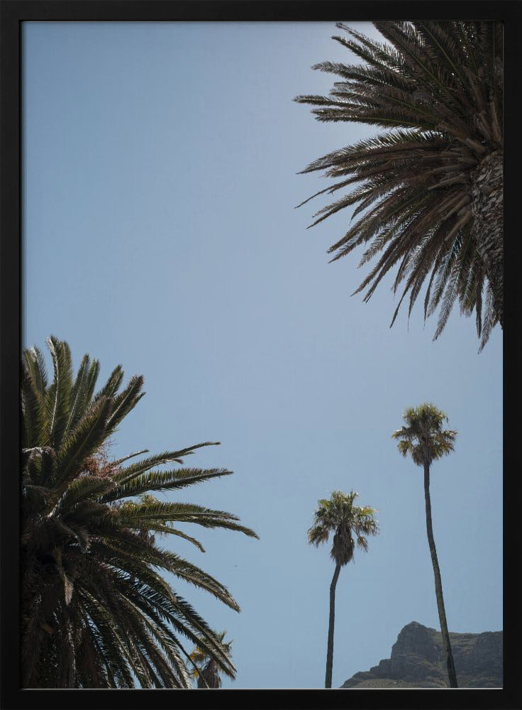 Sunny Palm Heights | Poster