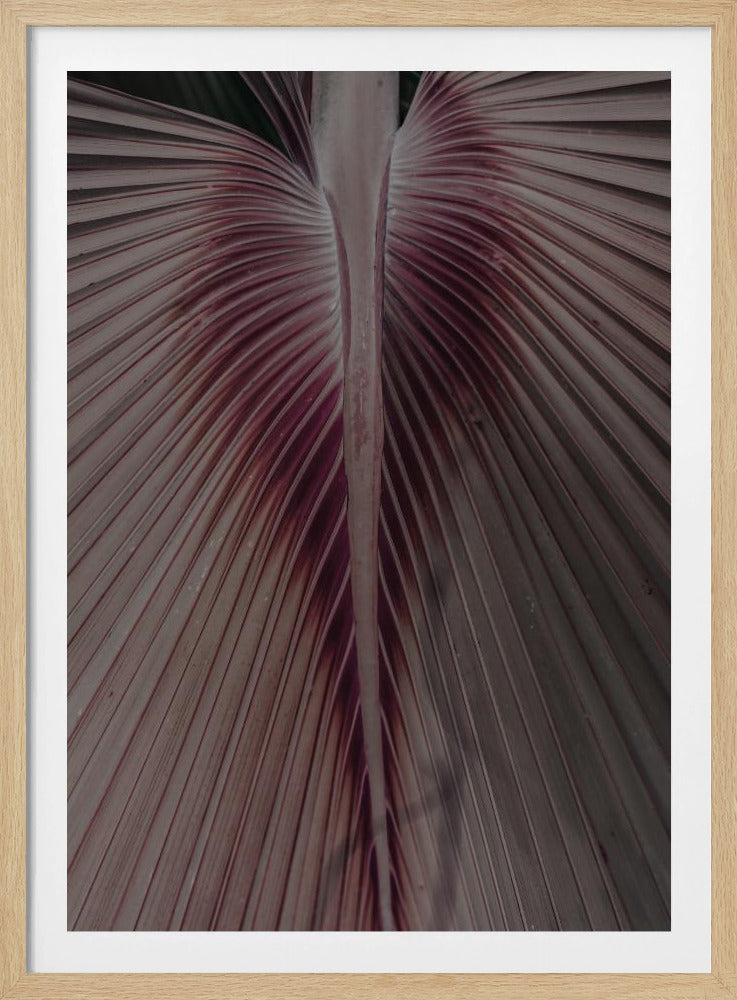 Crimson Leaf Veins | Poster