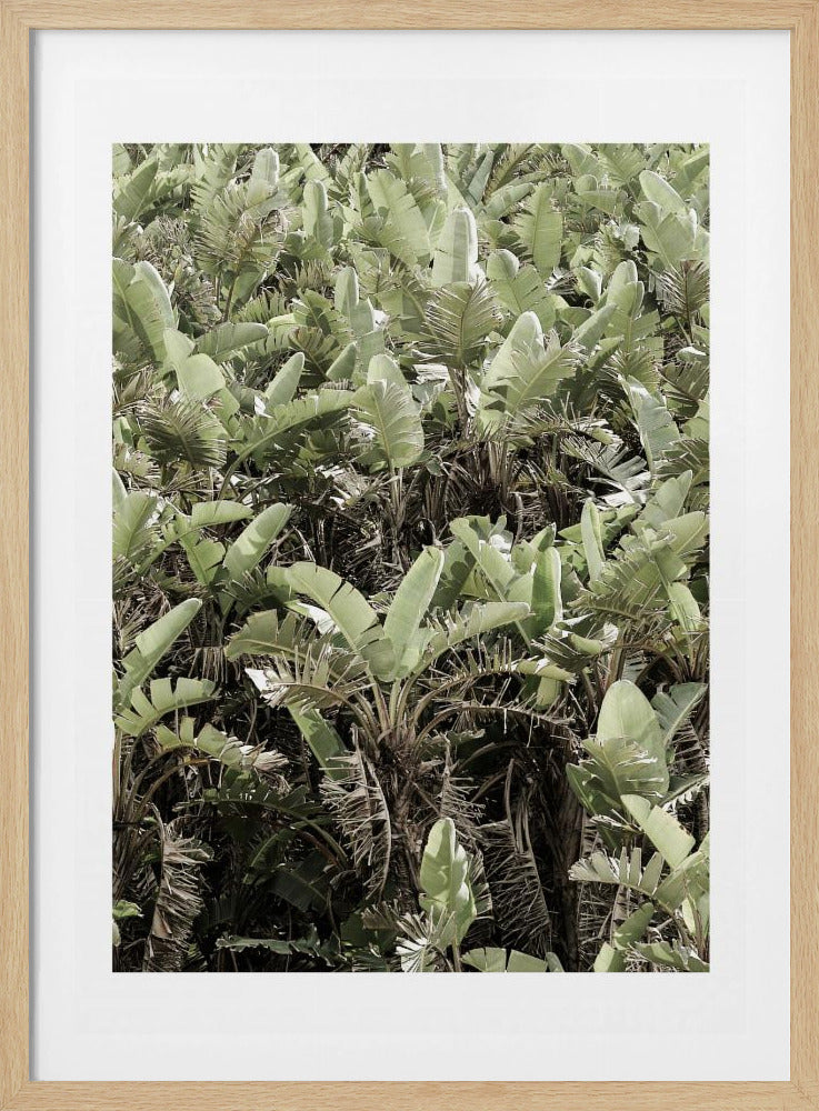 Verdant Canopy | Poster