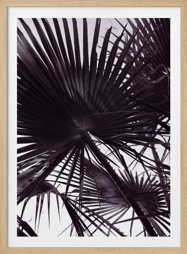Palm Silhouette | Poster