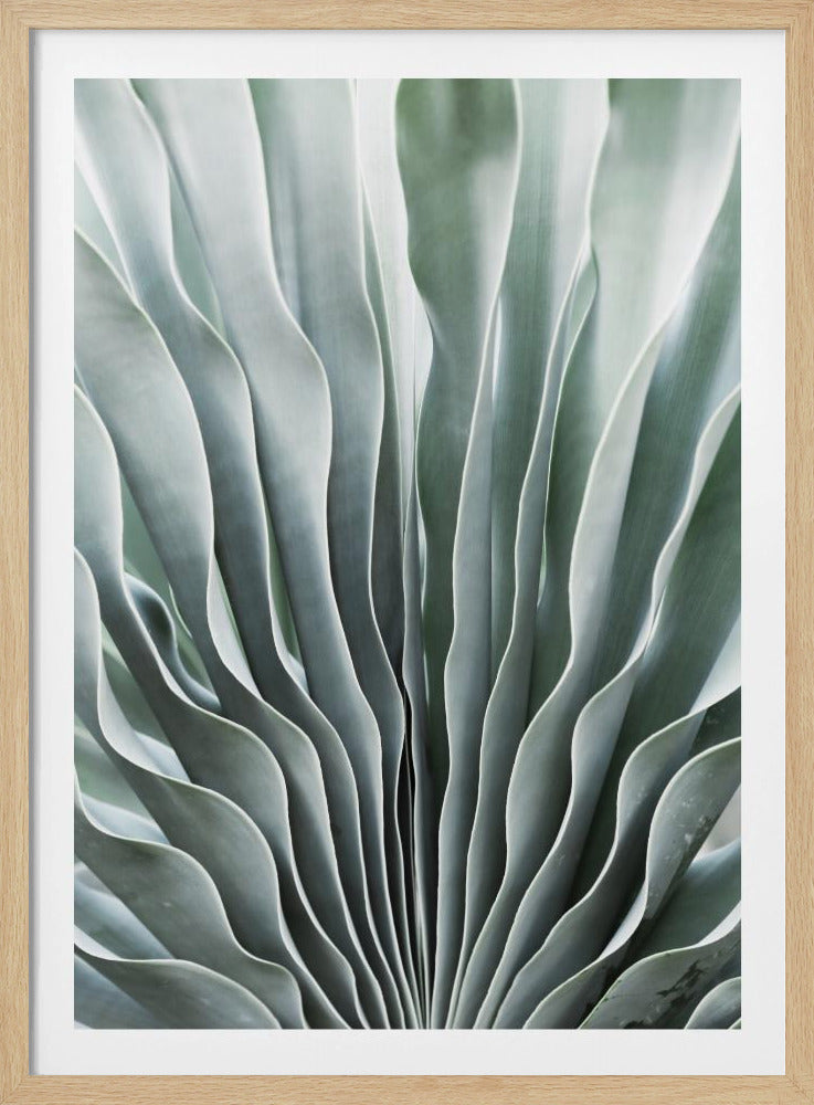 Nature's Grace | Poster