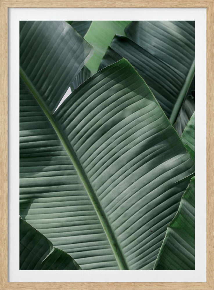Verdant Leaf Waves | Poster