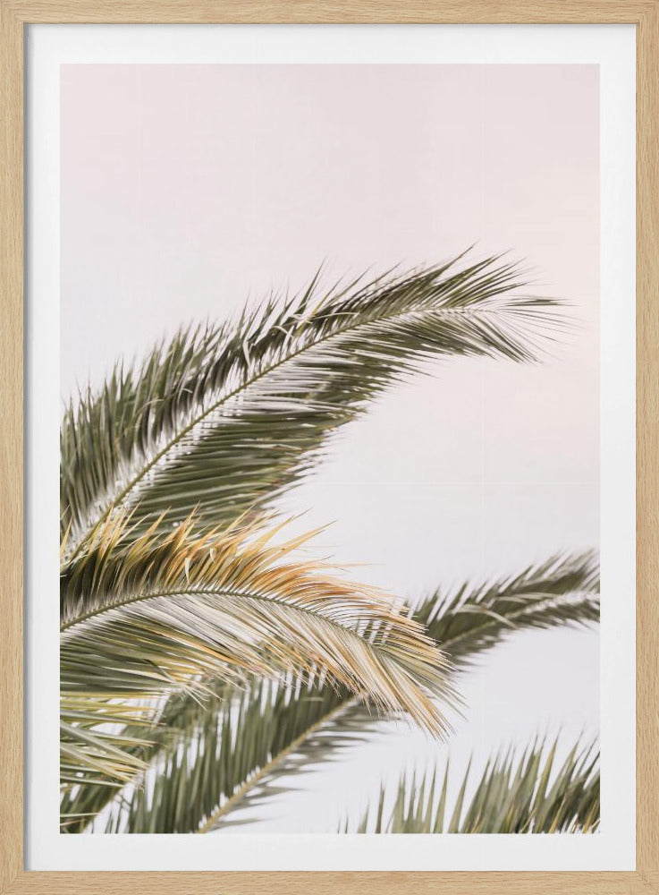 Serene Palms Sway | Poster