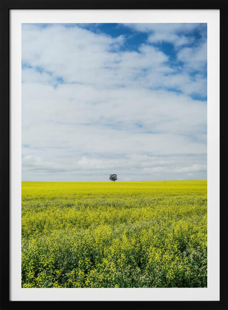 Solitary Tree Horizon | Poster