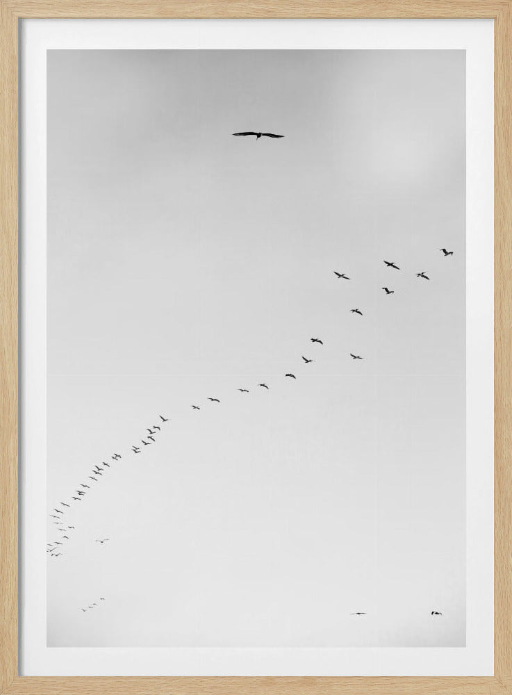 Skyward Journey | Poster