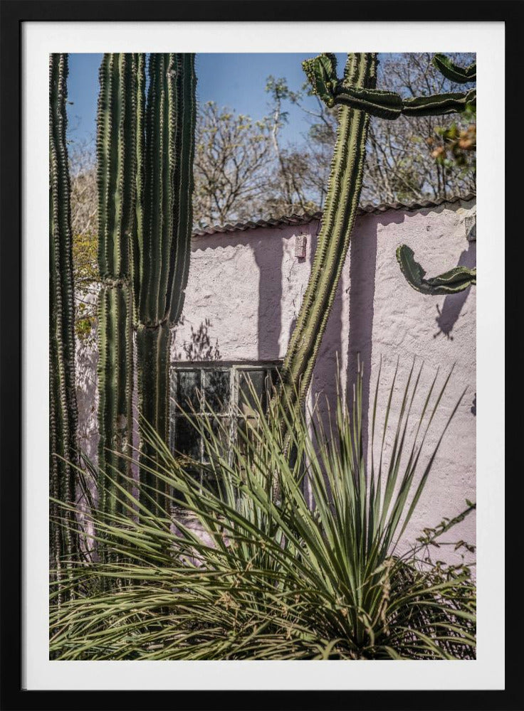Cactus & Pink Wall | Poster