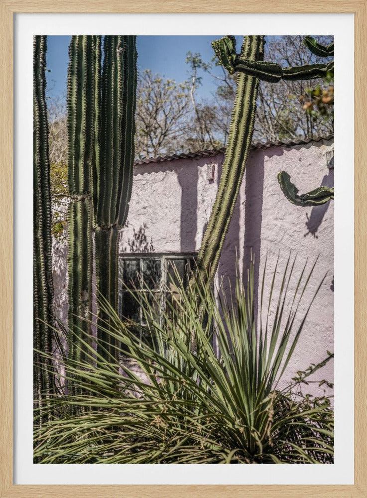 Cactus & Pink Wall | Poster