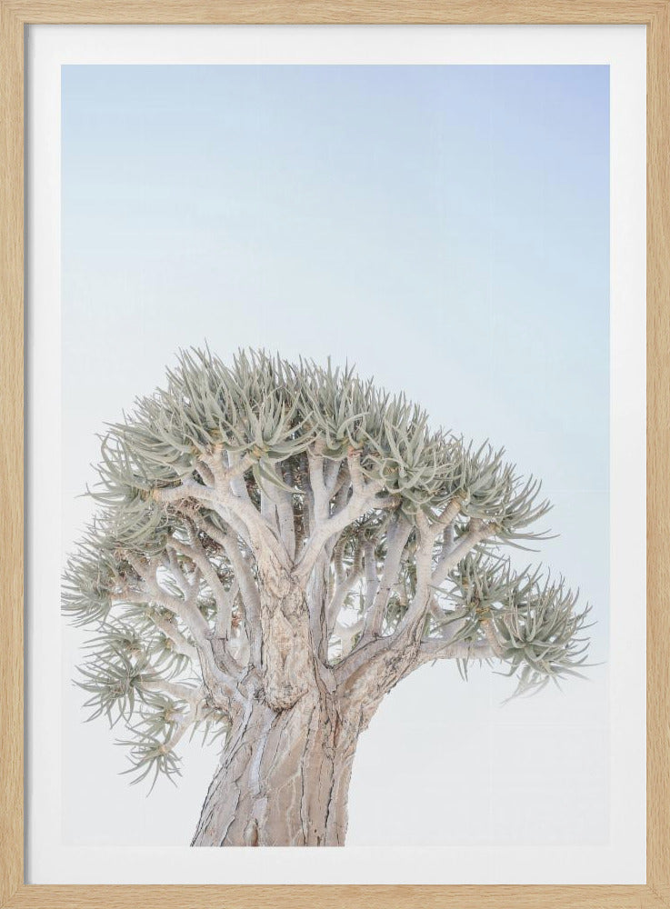 Ancient Serenity | Poster