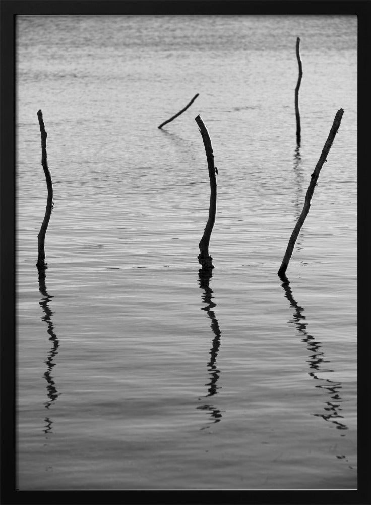 Silent Reflections | Poster