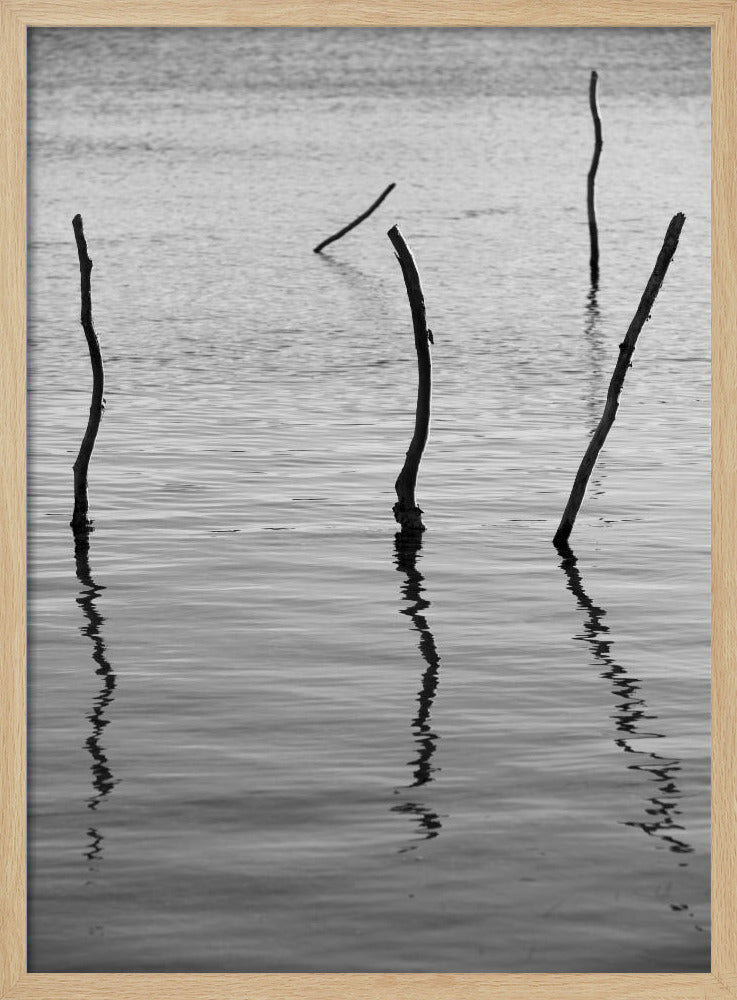 Silent Reflections | Poster