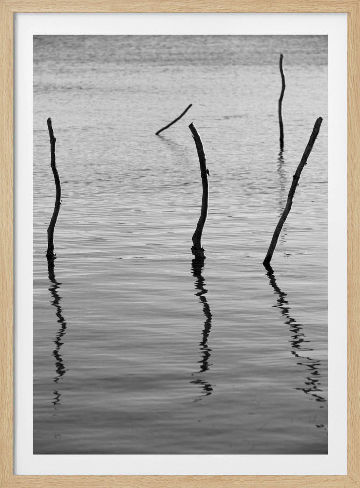 Silent Reflections | Poster