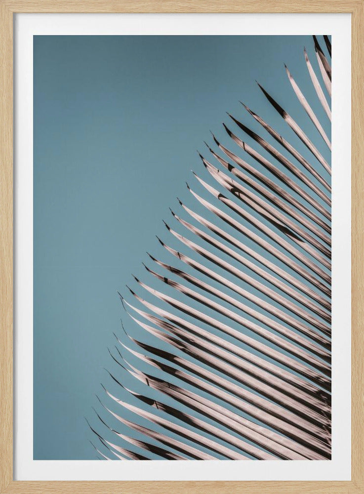 Palm Leaves Serenity | Poster