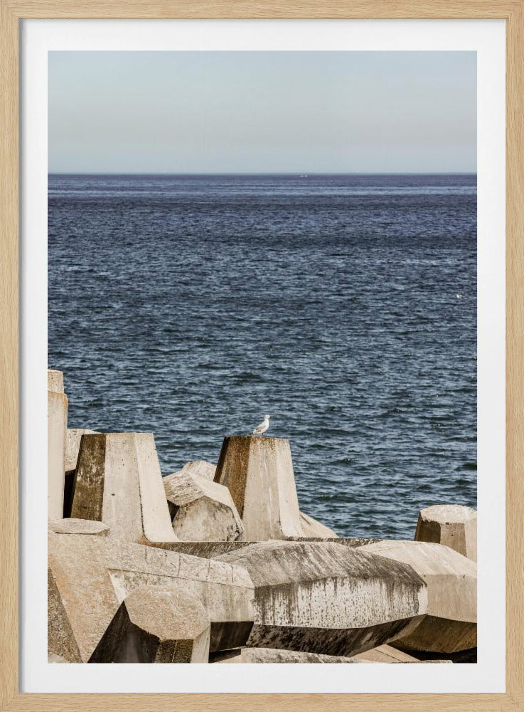 Seagull by the Sea | Poster