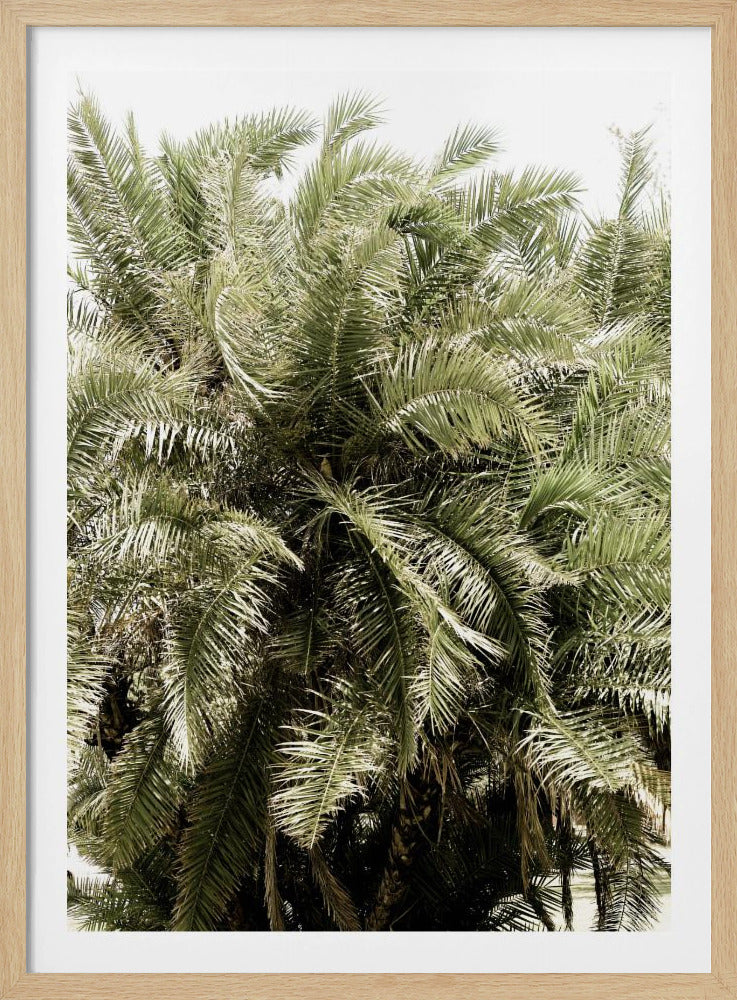 Verdant Palm Waves | Poster